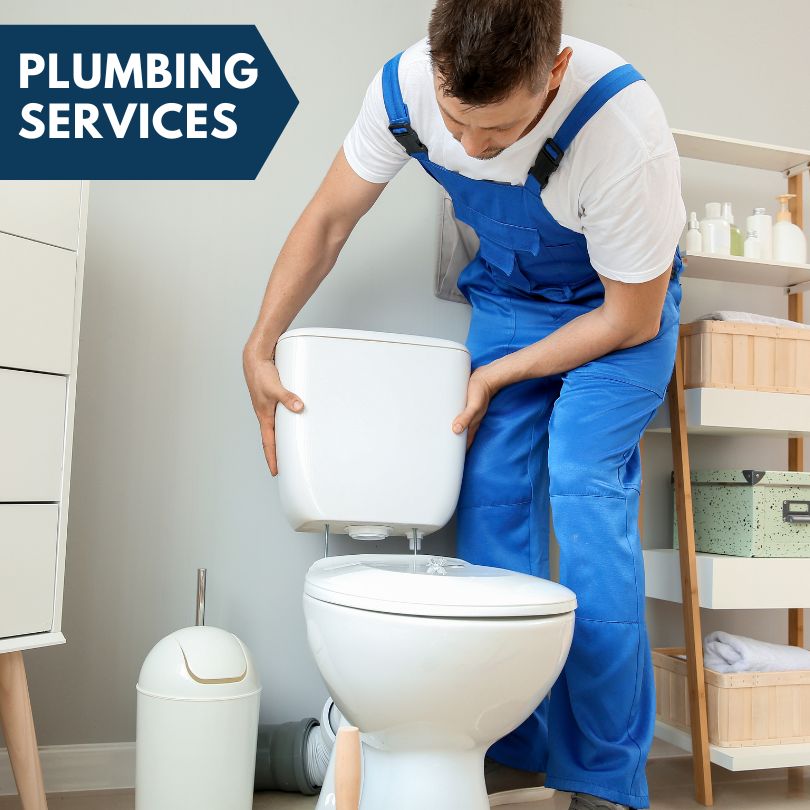 Plumbing Company in Ewing, IL